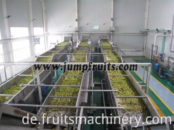 Small scale date pulp juice concentrate processing machine